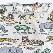 Load image into Gallery viewer, USED The Children’s Place Animals T-Shirts 90-95cm
