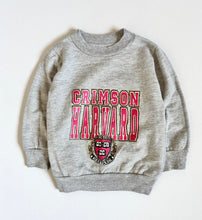 Load image into Gallery viewer, Vintage Harvard University Crimson Gray/Pink Sweatshirt 2T (90cm)

